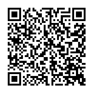 这整个残骸世界也开始在那盘古自爆而产生的滔天血光之中剧烈颤动起来二维码生成