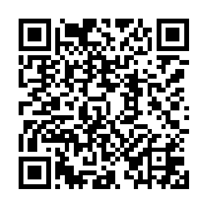 这文涂县这为数不多的几名能力拥有者互相之间都很是了解二维码生成