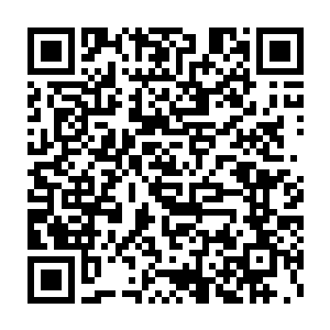 这时他看见了身后不远处一个高高瘦瘦的男子正依靠在树上抽着烟二维码生成