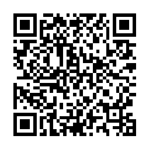 这时候一众将军山的军人们和叶敏心等人也是才反应过来二维码生成