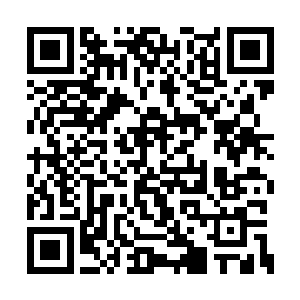 这时候从阮荷黎家蹲点回来的苏墨尘刚刚一开门二维码生成