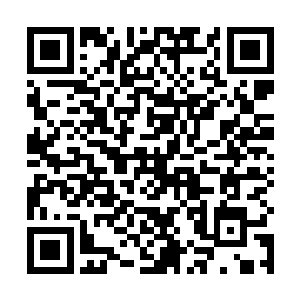 这时候即使没来过游木他们也知道这墙后面就是部落了二维码生成