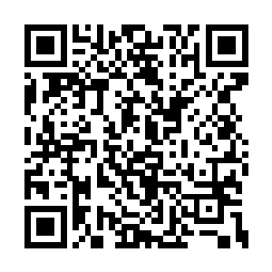 这时候如果后退的话那就真的是只有死路一条了二维码生成