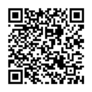 这时候它不回也不行――那俩只须将它的本体取走二维码生成
