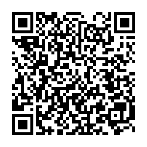 这时候已经填饱肚子的女人们本着消化食的念头下了饭桌又进厨房二维码生成