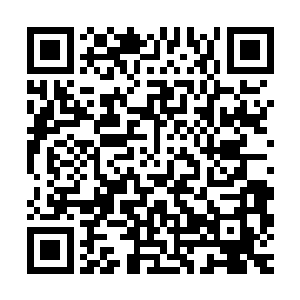 这时候才发现伊诺斯身上穿的是上次苏墨尘生日她送给他的衬衫二维码生成