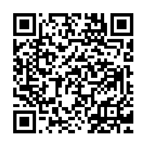 这时候是不建议游客进山的……但是这是难不住秦方和楚芸萱的二维码生成