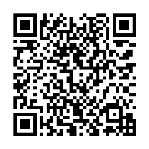 这时候白奇雪两只手都已经抬起来放到了我的脸旁二维码生成