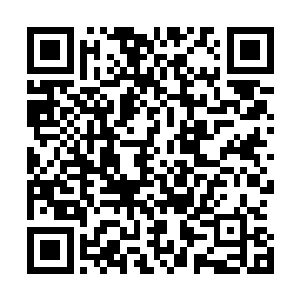 这时候的巴克已经开始和李旭东一起拖拽那摇摇欲坠的同伴二维码生成