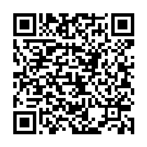 这时候金袍老者的目光也落到了小厮的身上淡淡的说道二维码生成