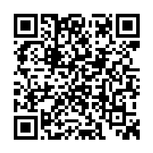 这时候魔兽森林的老大一个长的肥胖的男人说道二维码生成