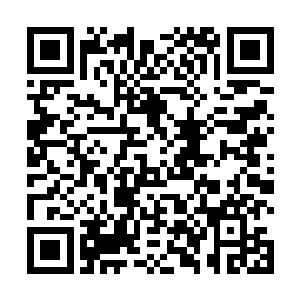 这时叶秋也看到了那粘液中居然包裹着一个圆形的晶体二维码生成