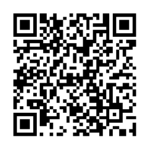 这时陪坐的主任还有科长们都觉出这两人之间有些异样二维码生成