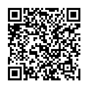 这是一幅让人看了直接会从头到脚都感觉到一阵冰冷的画面二维码生成