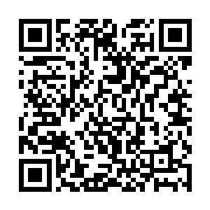 这是一次走上全美范围内都有影响力的红地毯的机会二维码生成