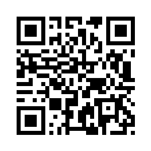 这是一种全新的双翼飞机二维码生成