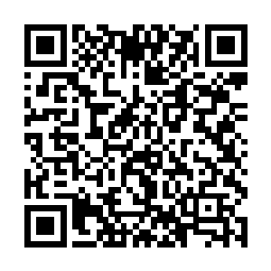 这是一种在风雪时代因为被大肆捕猎而灭绝了的物种二维码生成