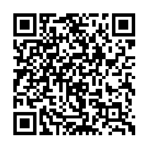 这是上次阿拉贡王子在清扫北部丘陵地带的时候二维码生成