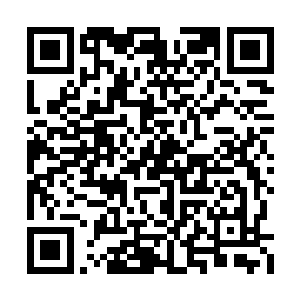 这是中国两大特种部队之一的龙牙特战队的军刀二维码生成