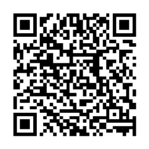 这是五千年前天一皇尊送给我的三枚龙盟盟主召唤令二维码生成