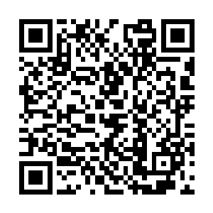 这是他们在原剧情中以及先前对女主才有的表情呀二维码生成