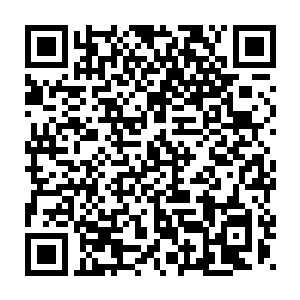 这是他们第一次看到以往高高在上的极皇战尊沦落到这么凄惨的地步二维码生成