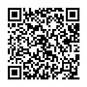 这是以往通过莽青山登仙之路的修士留下的地图二维码生成