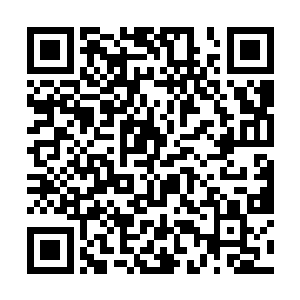 这是因为仙丹恢复元力的速度根本及不上消耗的速度二维码生成