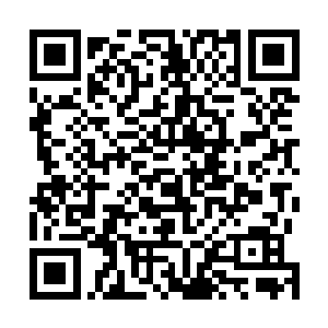 这是因为原战在雕刻这座图腾时使用了太多的魂力和感情二维码生成