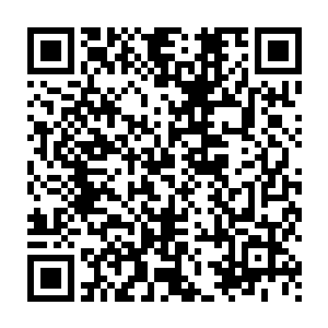 这是因为神梦天尊和浩宇天尊并没有规定参赛者必须达到九重命陨二维码生成