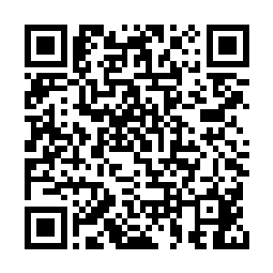 这是城主府为了扩大五国争霸赛的影响力而造的二维码生成