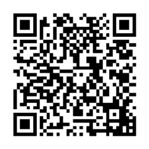 这是大灾变之前人类对动物做的最残忍的事情之一二维码生成