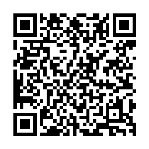 这是得有多大的冲击力能让身穿黄金法器防御衣得他都被震开二维码生成