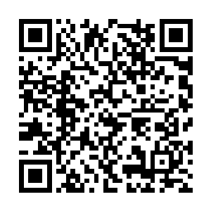 这是怎样妖孽般的真元和力量才能造成的破坏效果二维码生成