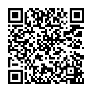 这是我拜托一位二品驱修师好不容易得到的丹药二维码生成