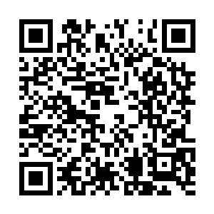 这是按照玄辰临走前留下的醒酒药膳的方子来熬的二维码生成