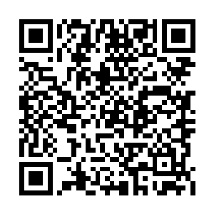 这是杨风从天火药尊留下的画里面追寻到的答案二维码生成