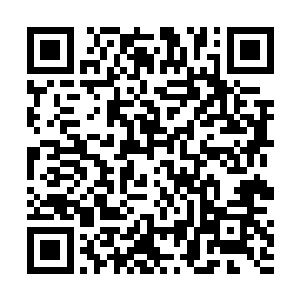 这是白素仙用她收获的地元水晶在黑甲战堡里交换来的二维码生成