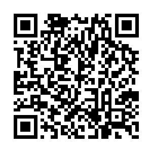 这是省公安厅和湖州市公安局监督下的尸检结果二维码生成