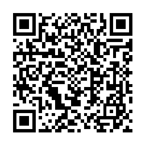 这是第一家族派出去的人留在第一家族的分身传出的消息二维码生成