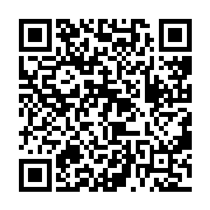 这是第一次这么近距离接近这个坚强的和男人一样的二维码生成