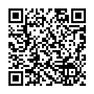 这是董事长的决定她一个小小的秘书是没资格说什么的二维码生成