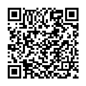 这是讲职业道德呢还是怕我嘴巴不稳影响了陆县长啊二维码生成