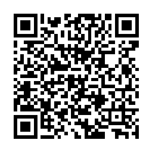 这是通过这几十年的捕杀而锻炼出来的超强的技能二维码生成