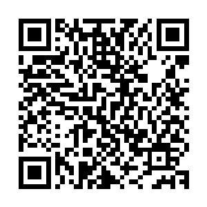 这是食灵兽的尾巴轰击在空气上所传出的令人毛骨悚然的爆裂声二维码生成