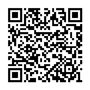 这是马文男爵以自己的身家性命和领地作为诱饵二维码生成