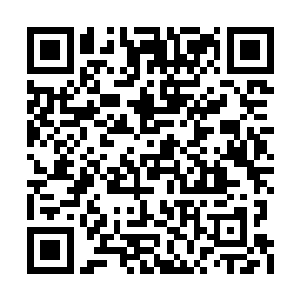 这更使得很多大界界王见了罗宇白都会十分亲切二维码生成