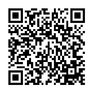 这期间……就由特战队的诸位来负责飞船周边的警戒工作二维码生成