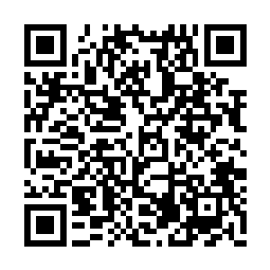 这本是他来到此地为了获取道祖传承的最后手段二维码生成