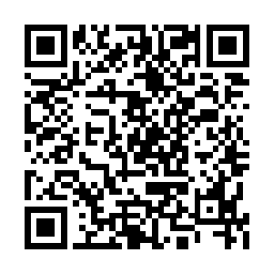 这本来是花娘打算在东京开办孔雀楼的压轴大戏二维码生成